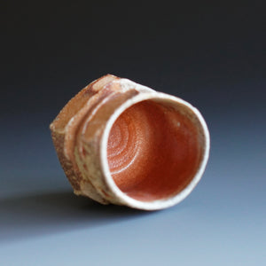 Guinomi (sake cup)